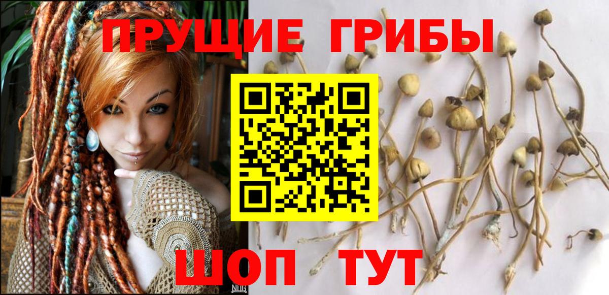 Псилоцибиновые грибы ЛСД Рязань